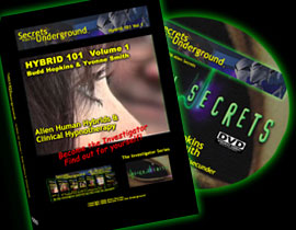 Secrets from the Underground volume 1